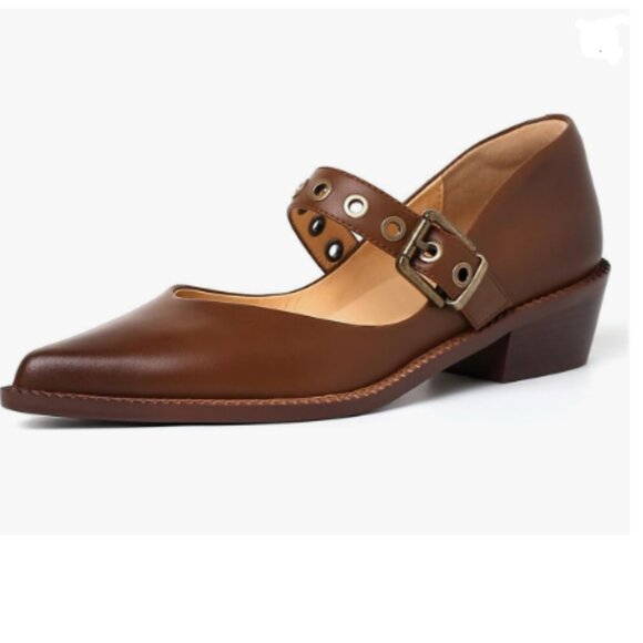 YDN Brown Pumps Pointed Toe Mary Jane Chunky Heels Loafers Hollow Buckle Shoes - Picture 1 of 8